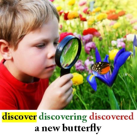 Discover